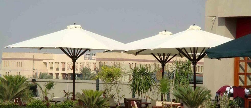 ثلاث شمسيات كبيرة على تراس مرتفع بين نباتات، والمدينة خلفها